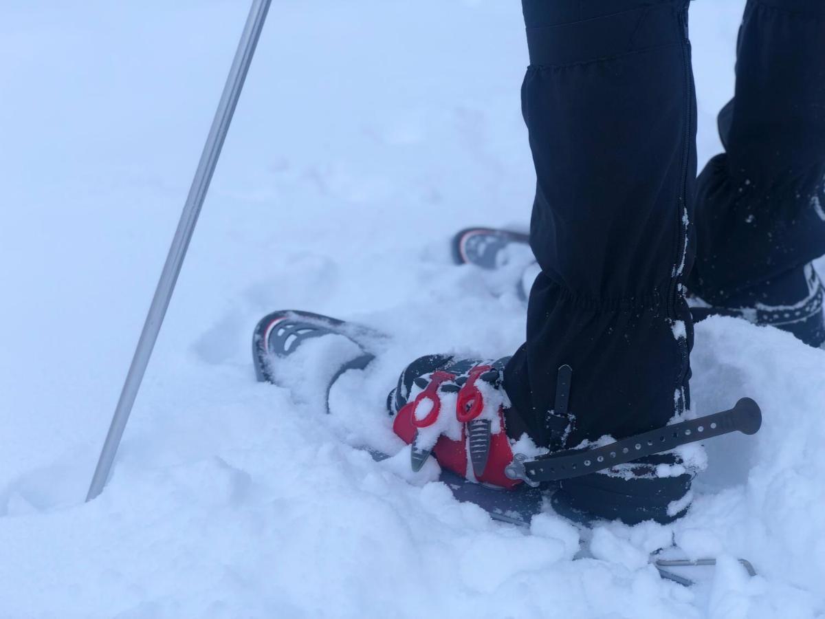 Hotel Chaume De Balveurche Xonrupt-Longemer Zewnętrze zdjęcie